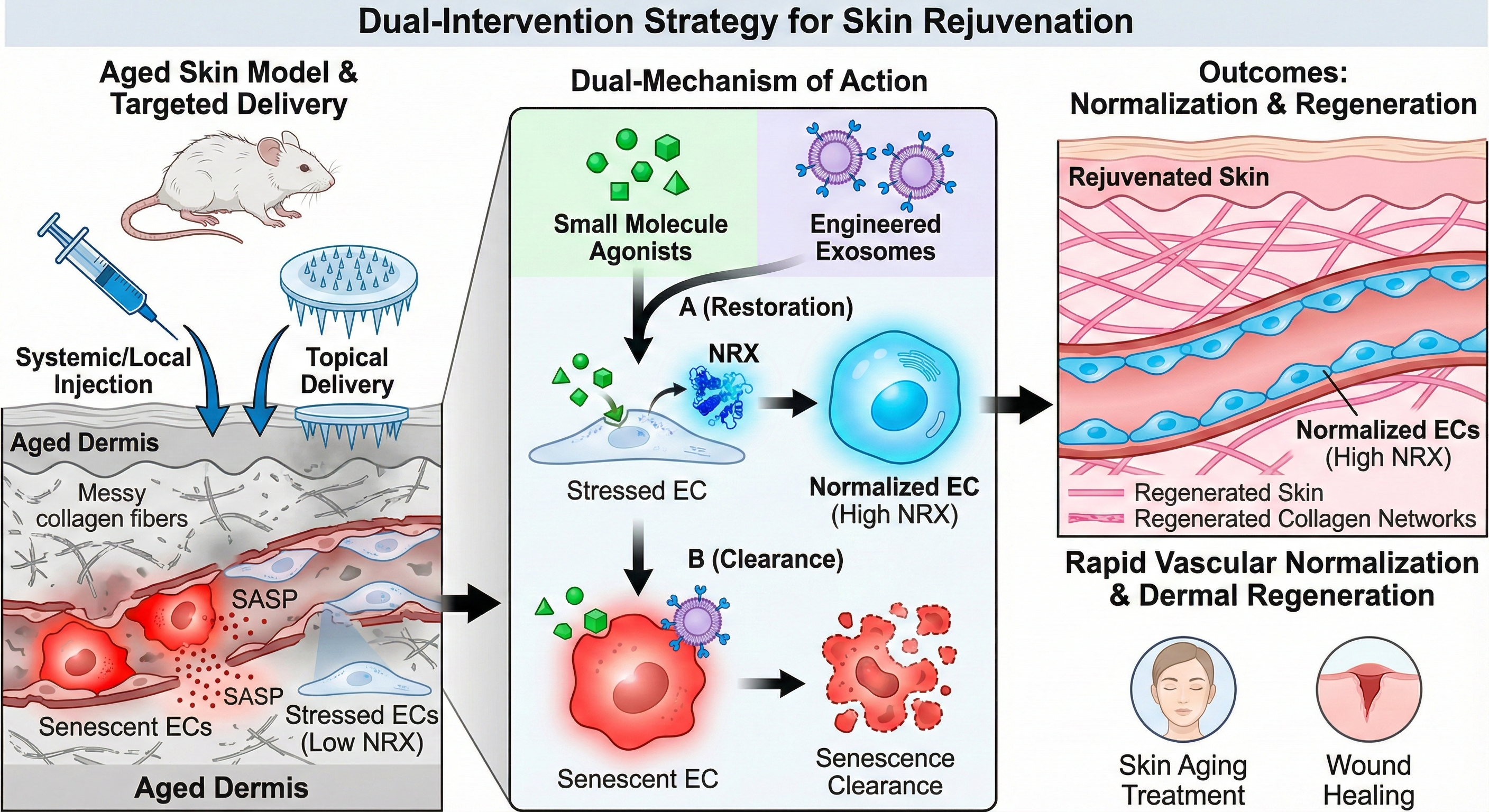 Intervention Strategy